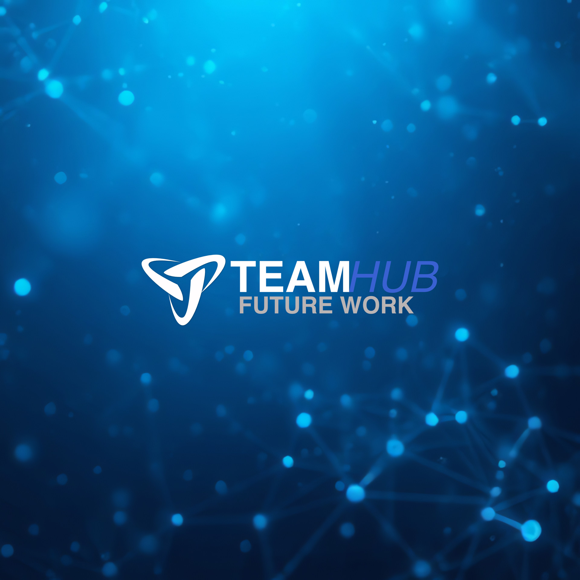 TeamHUB